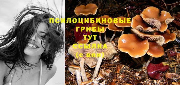 марки nbome Медногорск