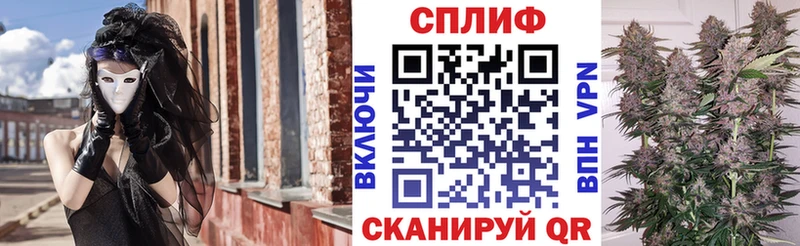 где можно купить Фурманов Канабис OG Kush